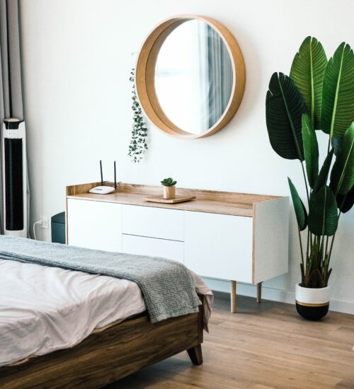 indoor plants - plant mom